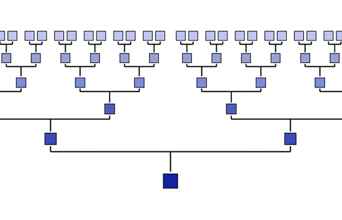 Sixth generation chart.