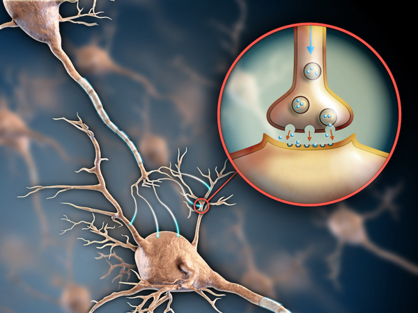 Neurotransmitters