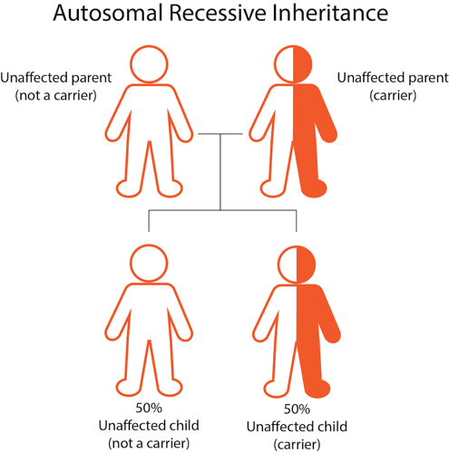 Recessive inheritance