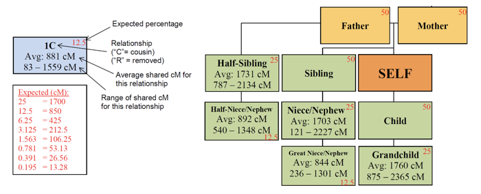 Family relatedness.